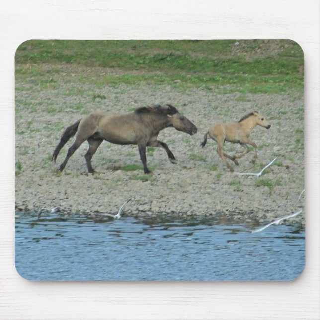 Tapis De Souris chevaux courants (Devant)