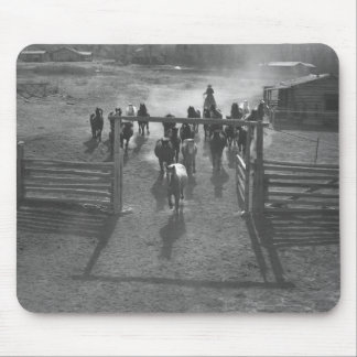 Tapis De Souris Chevaux dans le corral