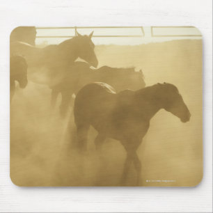 Tapis De Souris Chevaux dans le corral