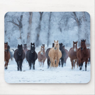 Tapis De Souris Chevaux dans le froid