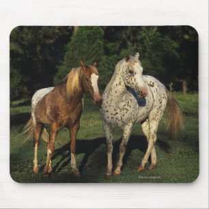 Tapis De Souris Chevaux d'Appaloosa