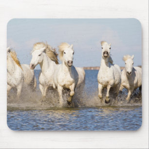 Tapis De Souris Chevaux de Camargue
