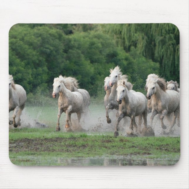 Tapis De Souris Chevaux de Camargue courant dans l'eau (Devant)