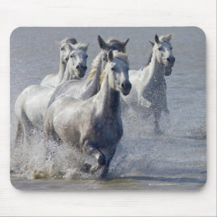 Tapis De Souris Chevaux de Camargue courant sur marais pour traver