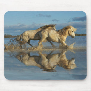 Tapis De Souris Chevaux de Camargue et reflet, sud de la France