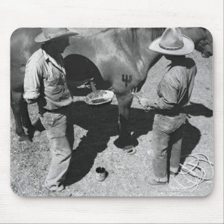 Tapis De Souris Chevaux de marquage à chaud avec la marque de