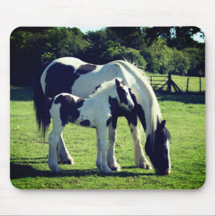 Tapis De Souris Chevaux de Momma et de Colt