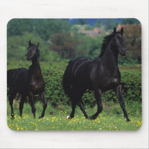 Tapis De Souris Chevaux de pur sang dans le domaine de fleur