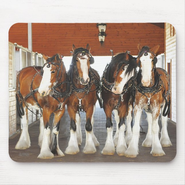 Tapis De Souris Chevaux de trait de Clydesdale dans la grange (Devant)