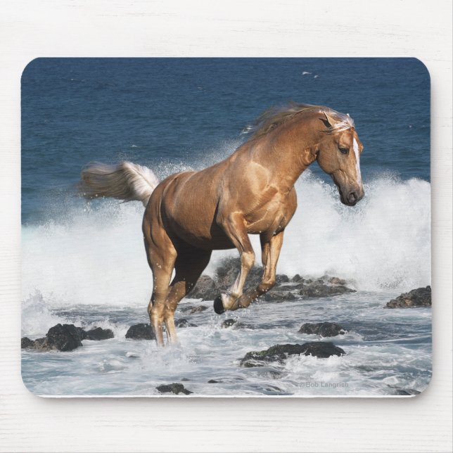 Tapis De Souris Chevaux d'imaginaire : Éclaboussure d'été (Devant)