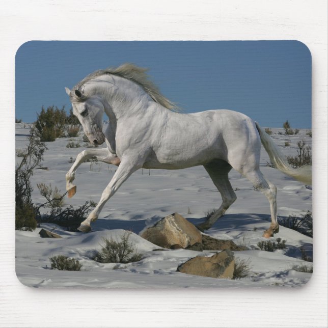 Tapis De Souris Chevaux d'imaginaire : Roi de neige (Devant)