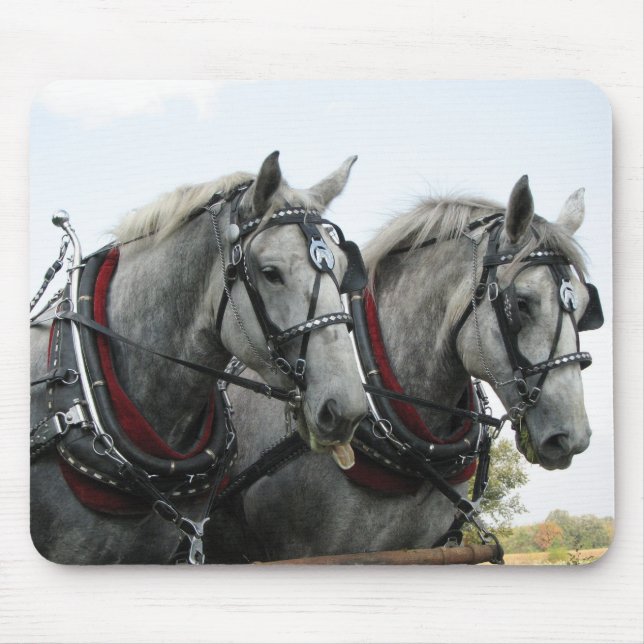 Tapis De Souris Chevaux drôles (Devant)