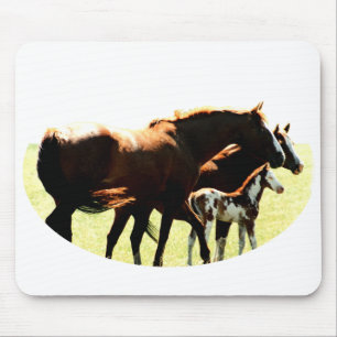 Tapis De Souris Chevaux et image du poulain