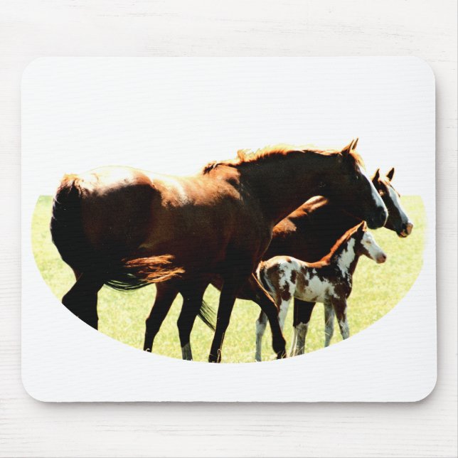 Tapis De Souris Chevaux et image du poulain (Devant)