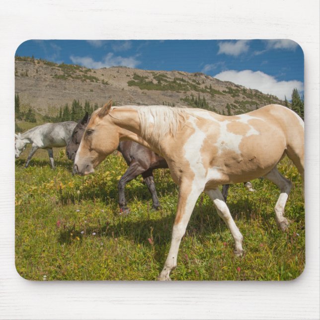 Tapis De Souris Chevaux et mulets (Devant)