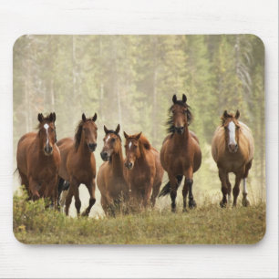 Tapis De Souris Chevaux franchissant une petite colline lors d'un
