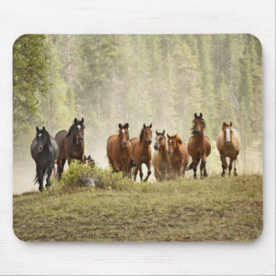 Tapis De Souris Chevaux franchissant une petite colline pendant le