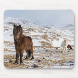 Tapis De Souris Chevaux islandais en hiver
