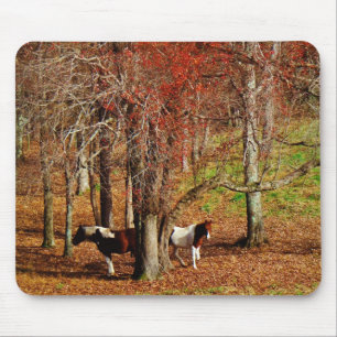 Tapis De Souris Chevaux jumeaux Brown et blancs
