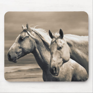 Tapis De Souris Chevaux Quarter Horses dans la Prairie Canadienne