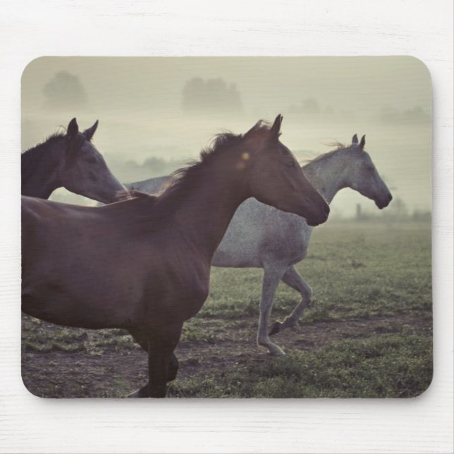 Tapis De Souris Chevaux sauvages (Devant)