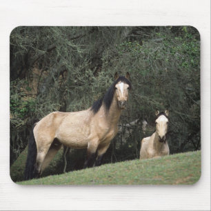Tapis De Souris Chevaux sauvages 6 de mustang
