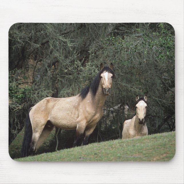 Tapis De Souris Chevaux sauvages 6 de mustang (Devant)