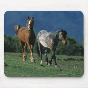 Tapis De Souris Chevaux sauvages de mustang