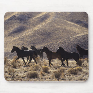 Tapis De Souris Chevaux sauvages de mustang dans le désert 1