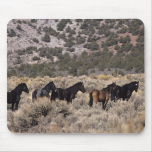 Tapis De Souris Chevaux sauvages de mustang dans le désert 2