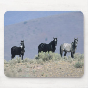 Tapis De Souris Chevaux sauvages de mustang dans le désert 3