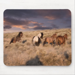 Tapis De Souris Chevaux Sauvages en Course