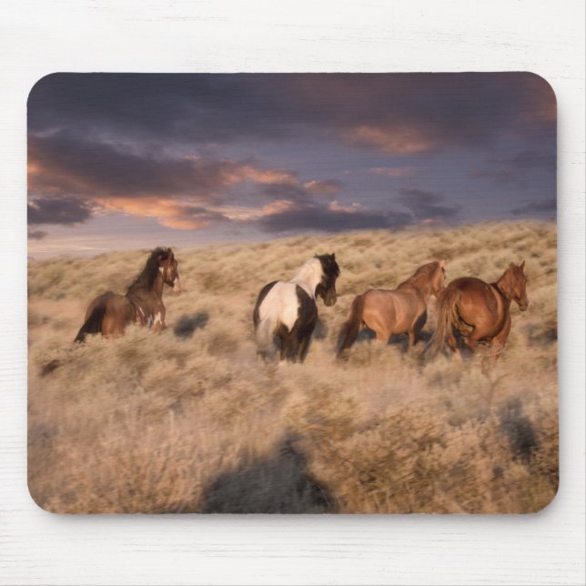 Tapis De Souris Chevaux Sauvages en Course (Devant)