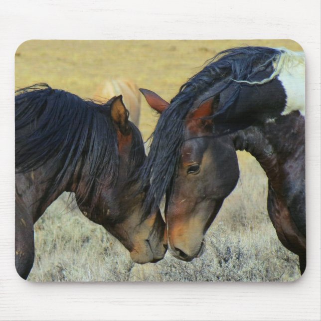 Tapis De Souris Chevaux sauvages Touchant le nez Mousepad (Devant)