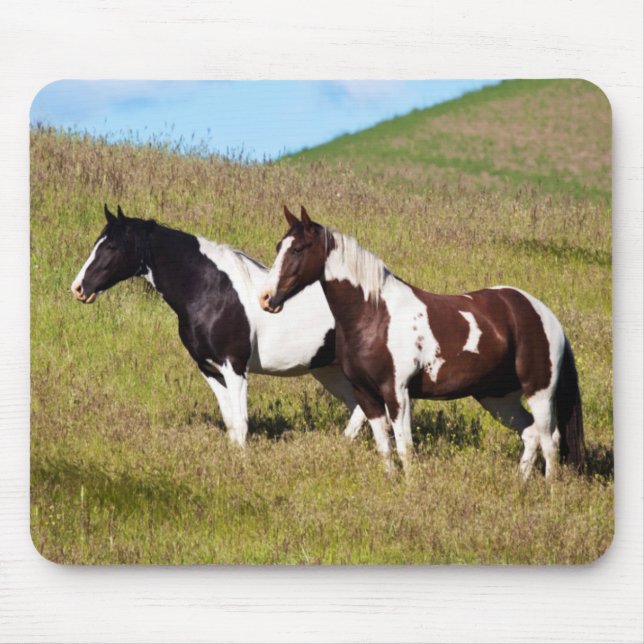 Tapis De Souris Chevaux sur le flanc de colline (Devant)