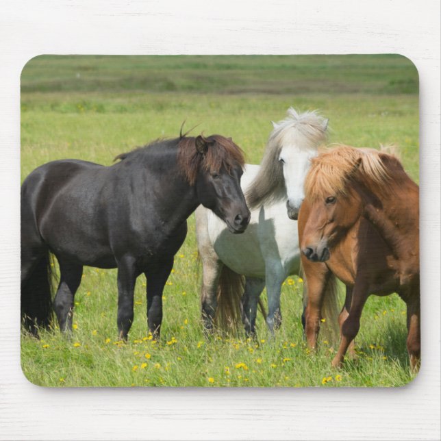 Tapis De Souris Chevaux sur le Ranch, sud de l'Islande (Devant)