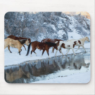 Tapis De Souris Chevaux traversant le ruisseau