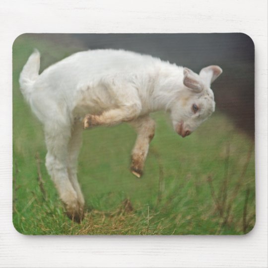 Tapis De Souris Chevre Blanche De Bebe Drole De Chevre Sautant Zazzle Fr