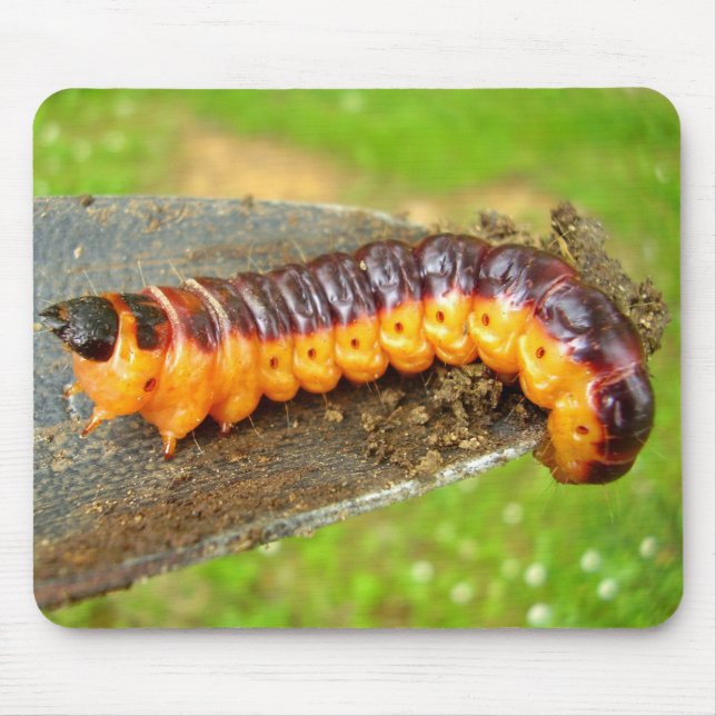 Tapis De Souris Chèvre Moth Caterpillar Mouse Mat (Devant)