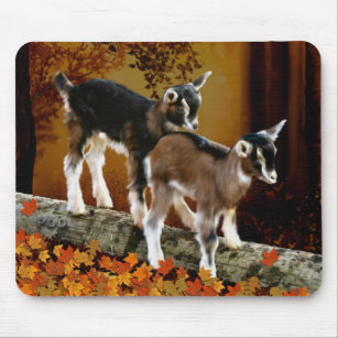Tapis De Souris Chevre Bebe Zazzle Fr