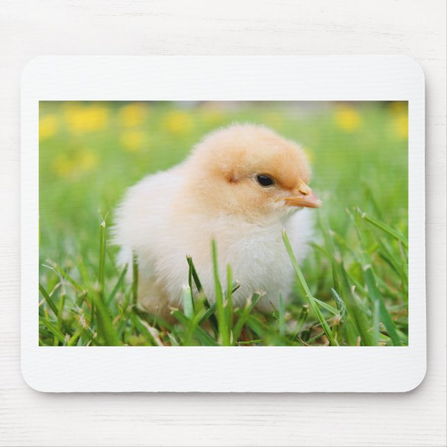 Tapis De Souris Chick (Devant)