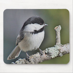 Tapis De Souris Chickadee