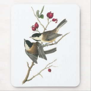 Tapis De Souris Chickadee Noir-couvert, John Audubon