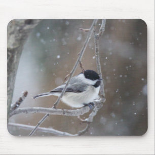 Tapis De Souris Chickadee Noir-couvert - oiseau chanteur