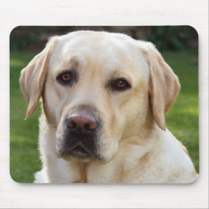 Tapis De Souris Chien à chiots du Labrador jaune - Laboratoire ja