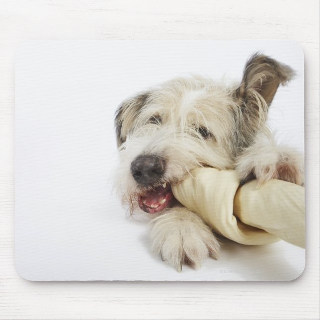Tapis De Souris Chien à mâcher sur l'os de raifort (Devant)