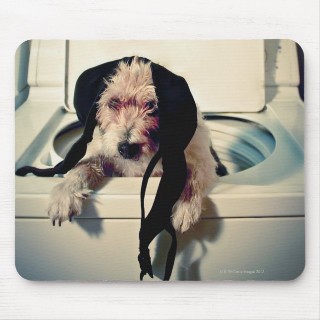 Tapis De Souris Chien aidant avec le lavage (Devant)