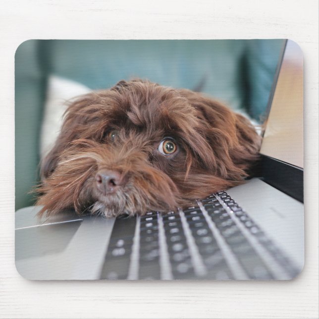 Tapis De Souris Chien, Animal de compagnie, confinement (Devant)