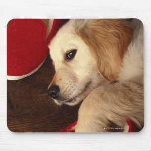Tapis De Souris Chien avec des chaussures se trouvant sur le