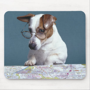 Tapis De Souris Chien avec des verres de lecture étudiant la cart